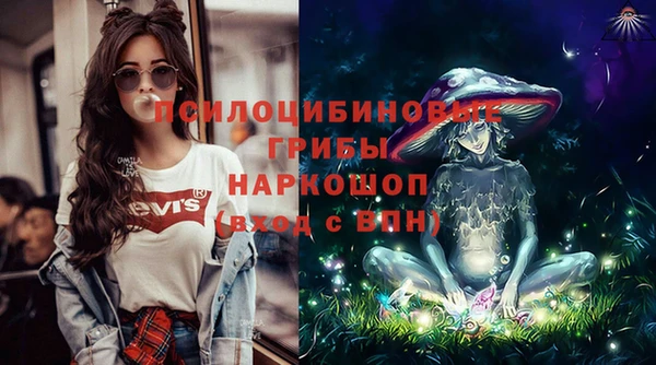 первитин Покачи