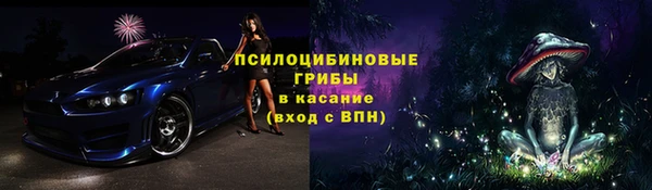 молекула духа Алексин