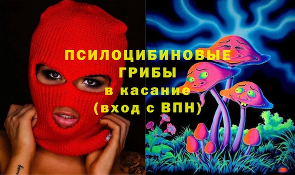 стафф Алексеевка