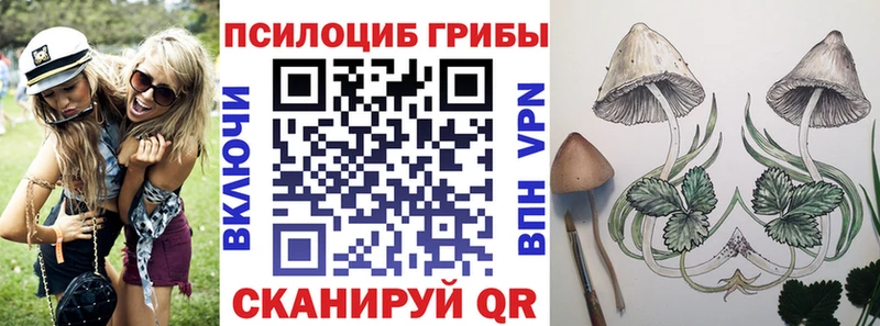 наркошоп  Зуевка  Галлюциногенные грибы ЛСД 